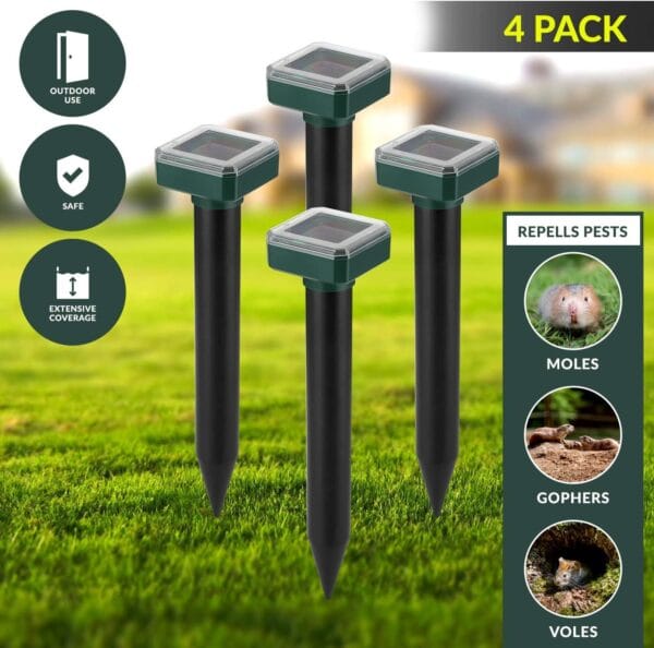 71cVzdRKOEL._AC_SL1500_