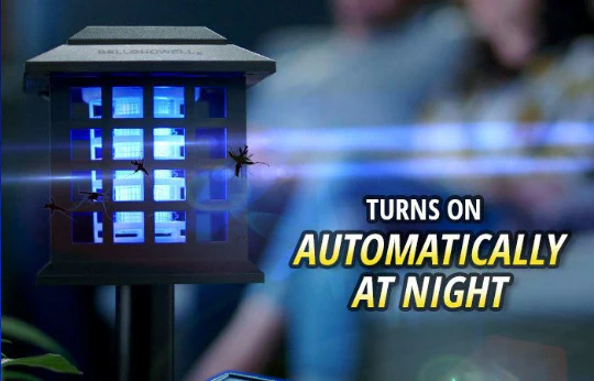 at_night_1080x at_night_1080x