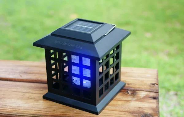 download_56353a79-e245-4781-901b-30976e5d06f7_1080x download_56353a79-e245-4781-901b-30976e5d06f7_1080x