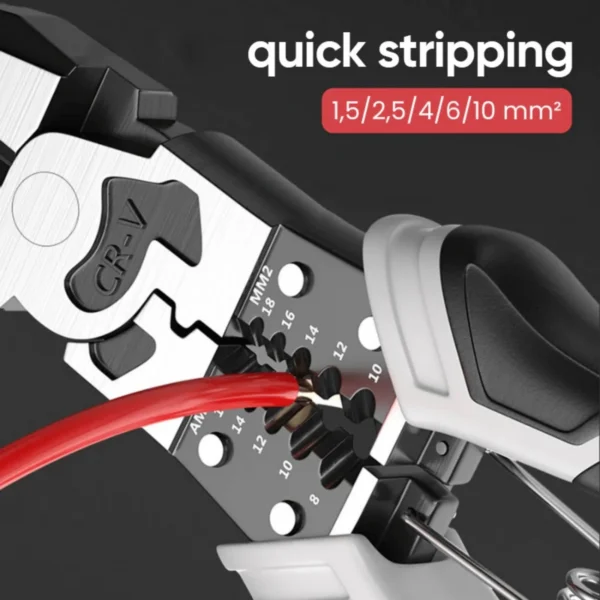 31ed5f23-b116-4033-a52a-5273fe9213a6.8d2477afe927ace655ddd27d832188bb